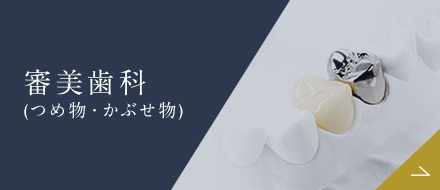 審美歯科（つめ物・かぶせ物）