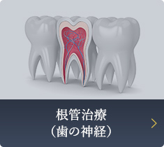 根管治療 （歯の神経）