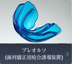 プレオルソ 