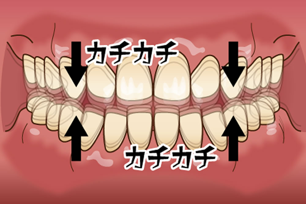 動画や画像、資料でわかりやすく説明