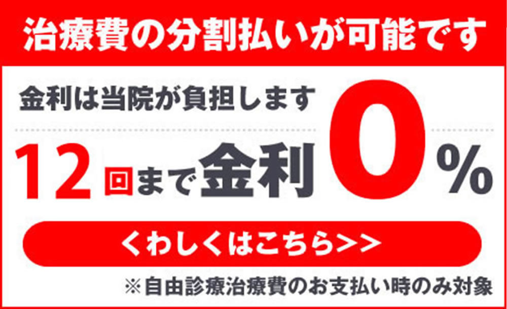 12回まで金利0％の分割払いに対応