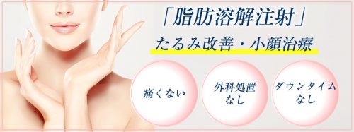 脂肪溶解注射 (メソセラピー)