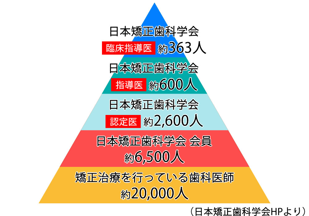 矯正歯科学会