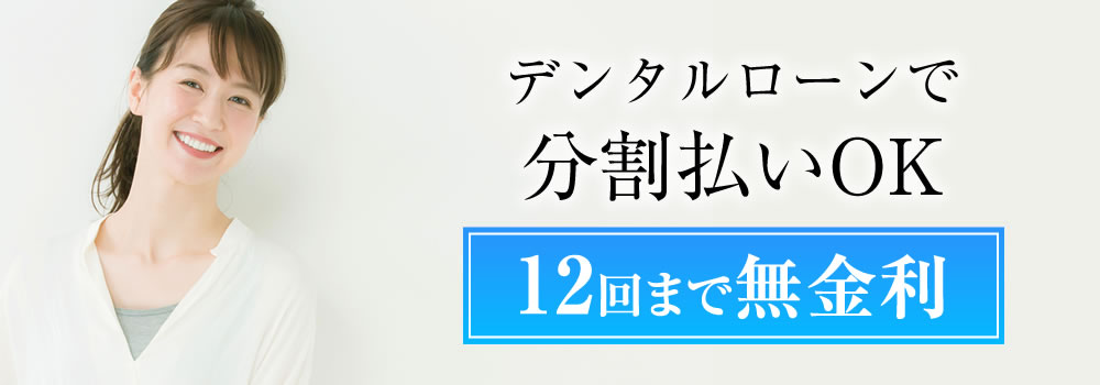 12回まで金利なし
